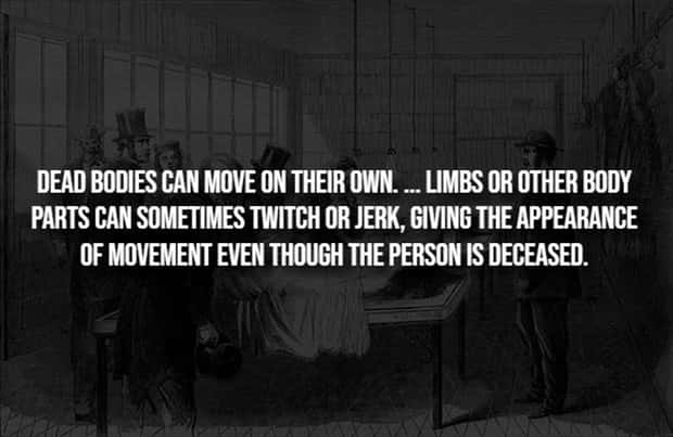 Creepy Facts Are Back to Haunt You #15 (20 photos)