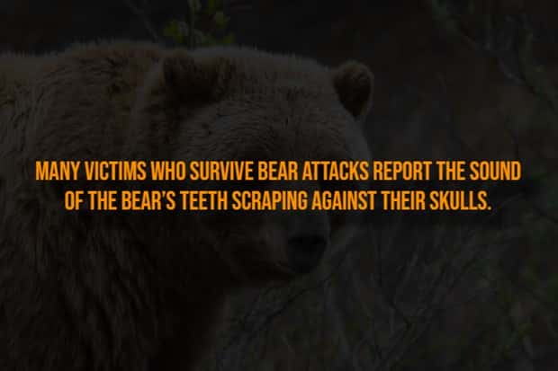 Creepy Facts Are Back to Haunt You #15 (20 photos)