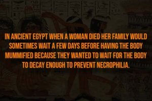 Creepy Facts Are Back to Haunt You #15 (20 photos)