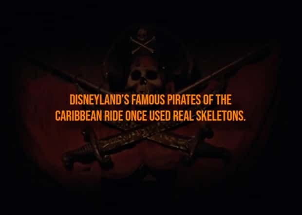 Creepy Facts Are Back to Haunt You #15 (20 photos)