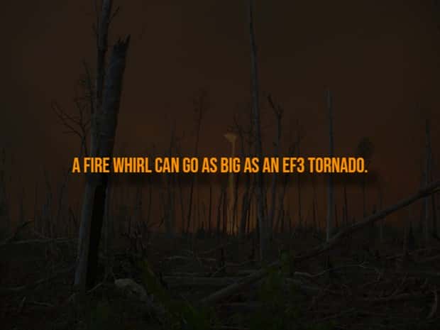 Creepy Facts Are Back to Haunt You #15 (20 photos)