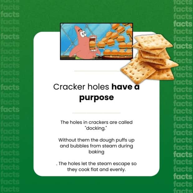 Food Facts You Will Share With Everyone (15 photos)