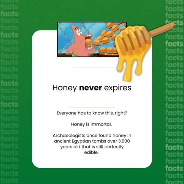 Food Facts You Will Share With Everyone (15 photos)