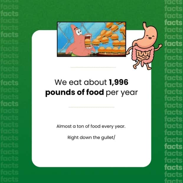 Food Facts You Will Share With Everyone (15 photos)