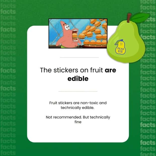 Food Facts You Will Share With Everyone (15 photos)