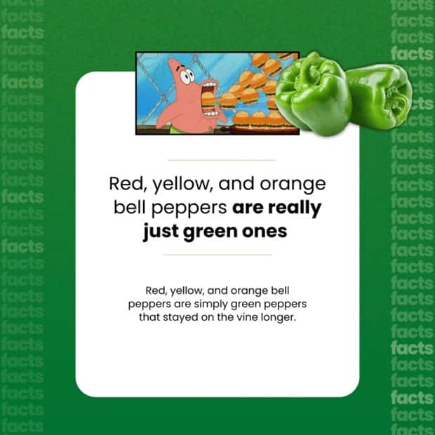 Food Facts You Will Share With Everyone (15 photos)