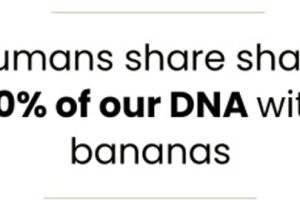 Food Facts You Will Share With Everyone (15 photos)