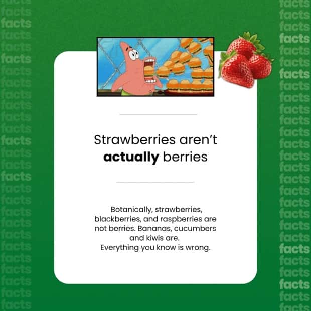 Food Facts You Will Share With Everyone (15 photos)