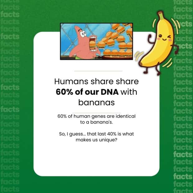 Food Facts You Will Share With Everyone (15 photos)