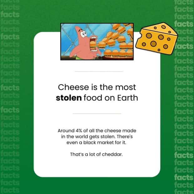 Food Facts You Will Share With Everyone (15 photos)