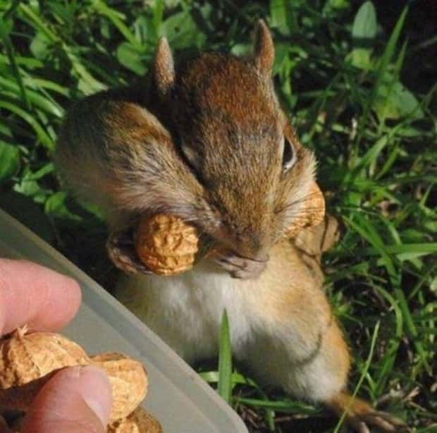 Get Ready for Funny Animals #438 (23 photos)