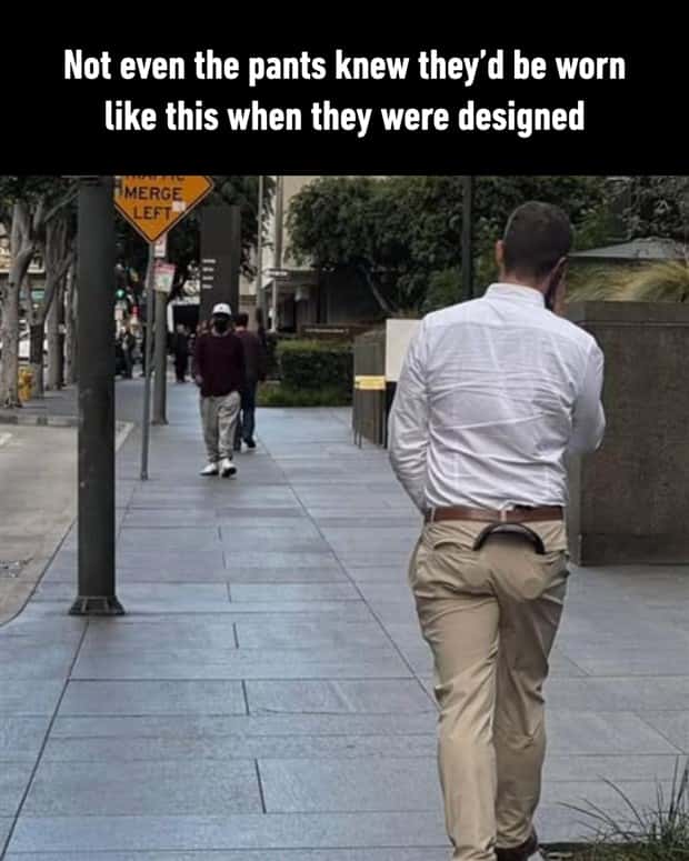 Funny Pics and Memes to Make You Laugh #205 (20 photos)