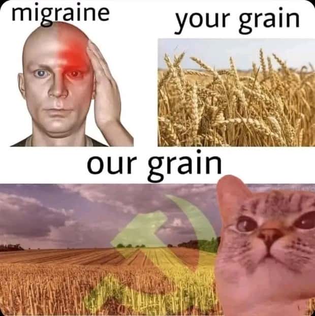 Funny Pics and Memes to Make You Laugh #205 (20 photos)