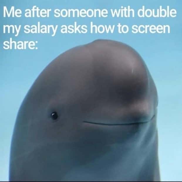 Funny Pics and Memes to Make You Laugh #206 (22 photos)