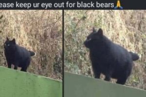 Funny Pics and Memes to Make You Laugh #206 (22 photos)