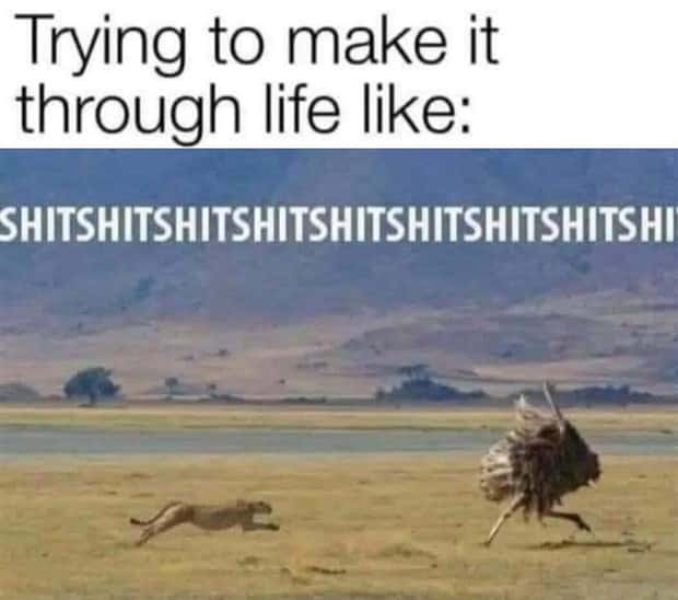 Funny Pics and Memes to Make You Laugh #206 (22 photos)