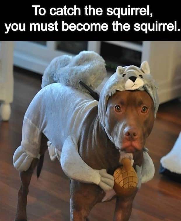 Funny Pics and Memes to Make You Laugh #208 (21 photos)