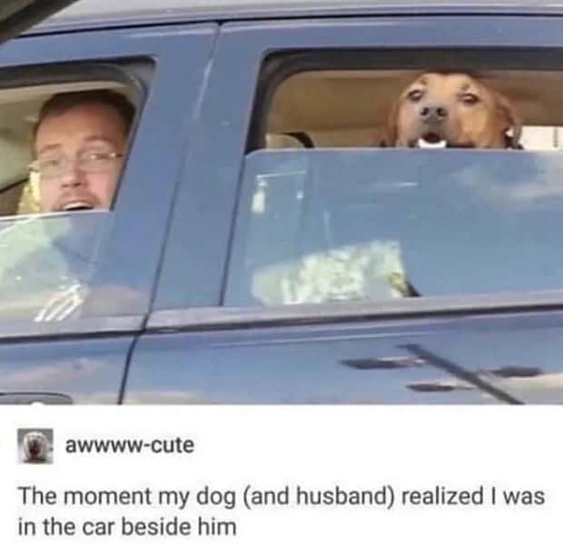 Funny Pics and Memes to Make You Laugh #208 (21 photos)