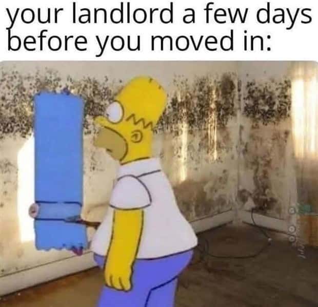 Funny Pics and Memes to Make You Laugh #208 (21 photos)