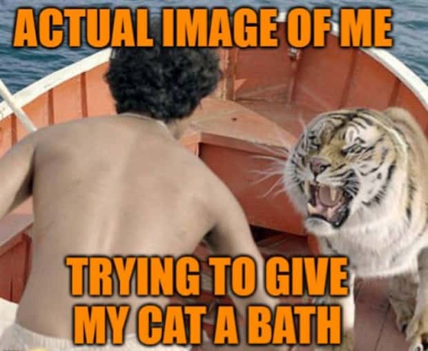 Funny Pics and Memes to Make You Laugh #207 (18 photos)