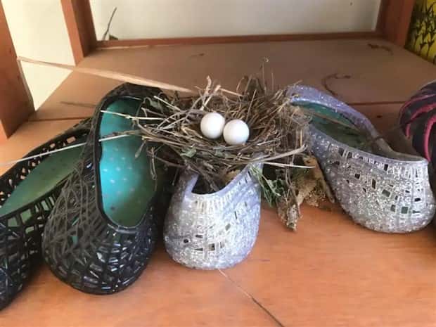 Birds Nests That Look Like Pure Improvisation (33 photos)