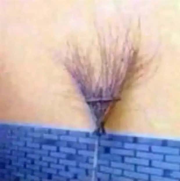 innocent pics 8 18 Innocent Images With Questionable Appearances (18 photos)