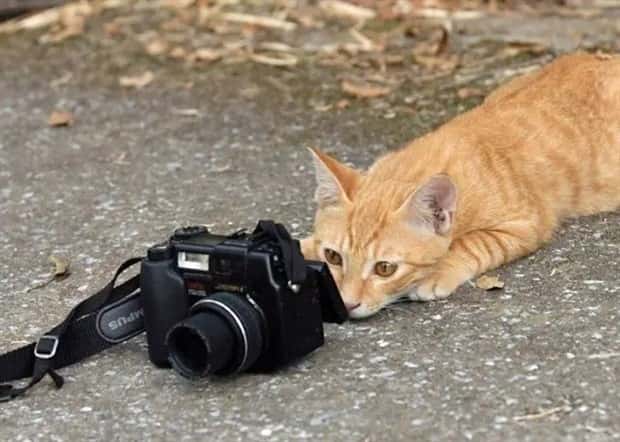 Klyker Picdump #1975 (45 photos)