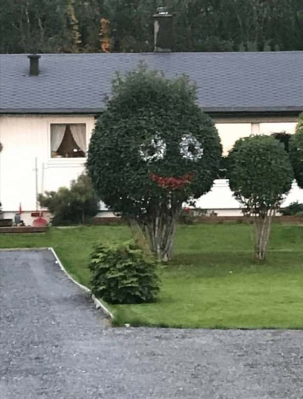 Klyker Picdump #1981 (41 photos)