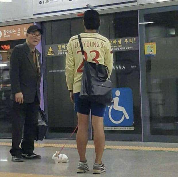 Klyker Picdump #1981 (41 photos)