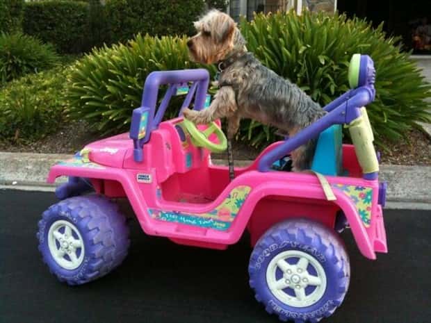 Klyker Picdump #1981 (41 photos)