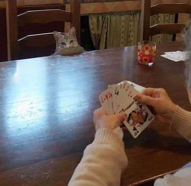 Klyker Picdump #1983 (43 photos)