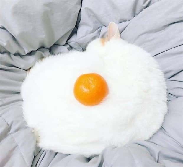 Klyker Picdump #1983 (43 photos)