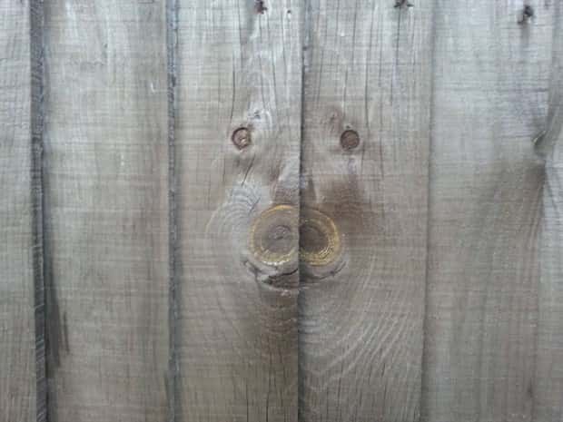 Klyker Picdump #1983 (43 photos)