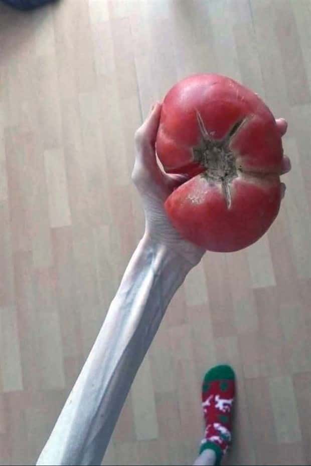 Klyker Picdump #1984 (44 photos)