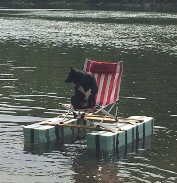 Klyker Picdump #1985 (45 photos)