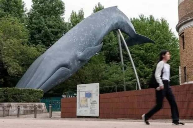 Klyker Picdump #1985 (45 photos)