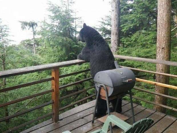 Klyker Picdump #1986 (41 photos)