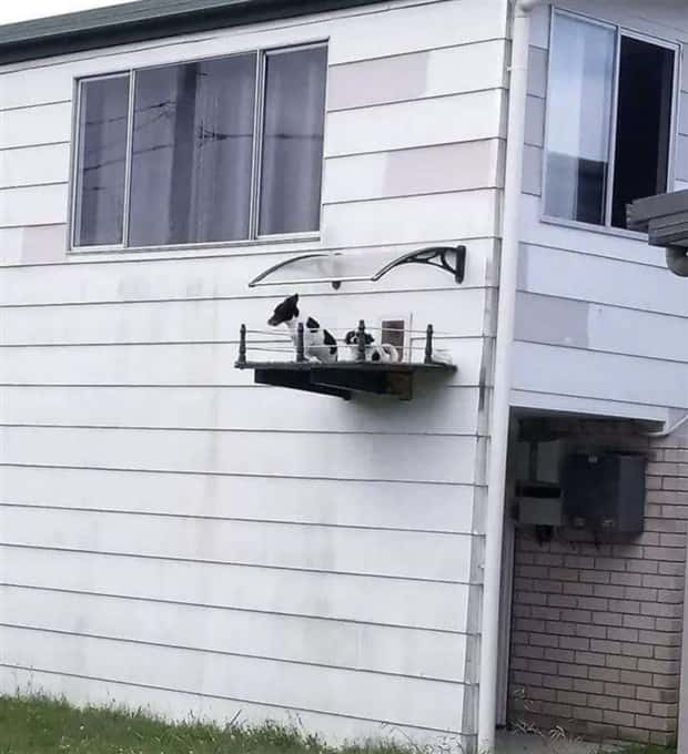 Klyker Picdump #1986 (41 photos)
