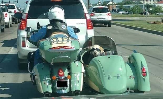 Klyker Picdump #1987 (42 photos)