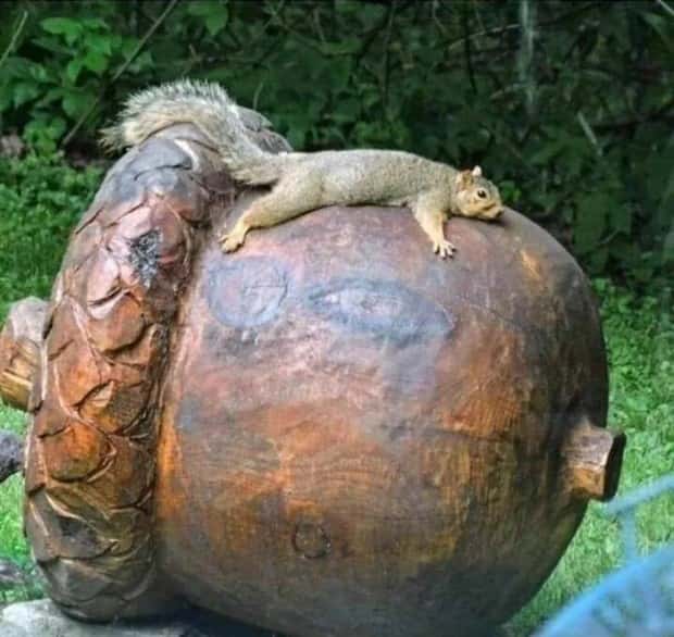 Klyker Picdump #1988 (43 photos)
