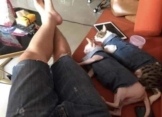 Klyker Picdump #1989 (44 photos)