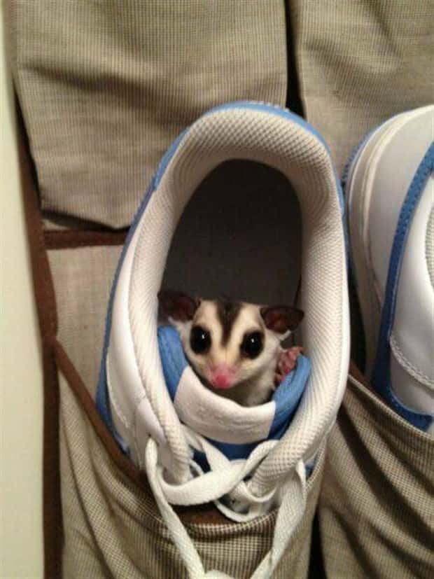 Klyker Picdump #1989 (44 photos)