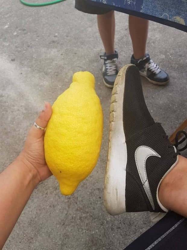 Klyker Picdump #1990 (45 photos)