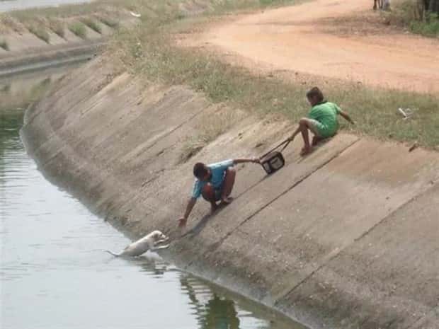 Klyker Picdump #1990 (45 photos)
