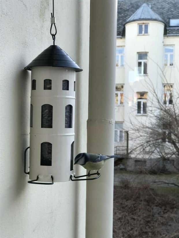 Klyker Picdump #1993 (43 photos)