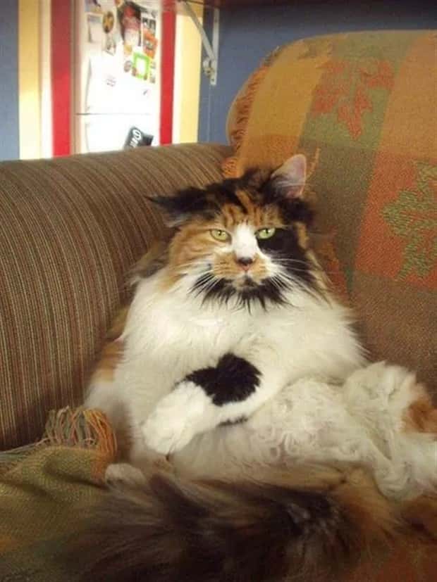 Klyker Picdump #1994 (44 photos)