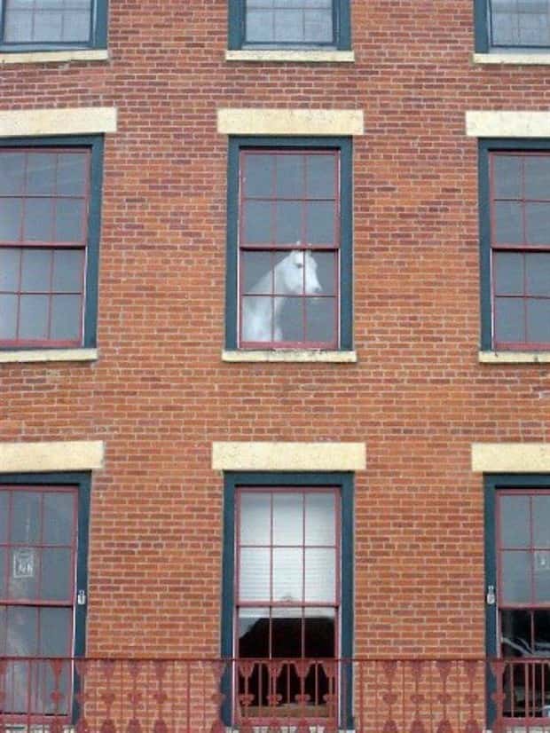Klyker Picdump #1994 (44 photos)