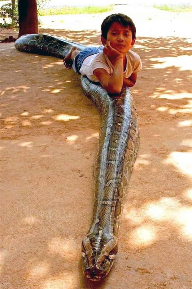 Klyker Picdump #1995 (45 photos)