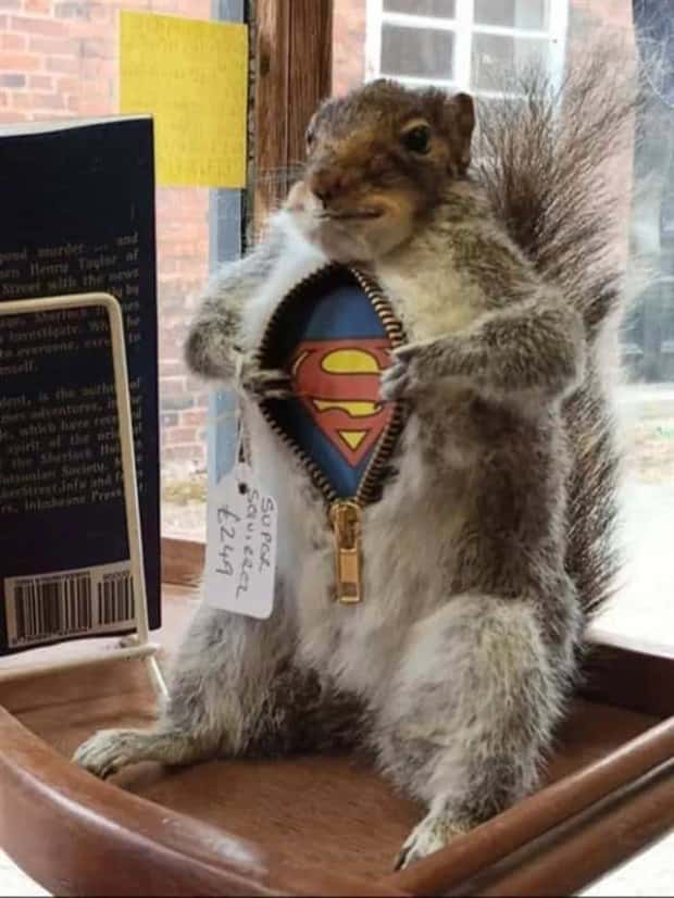 Klyker Picdump #1995 (45 photos)