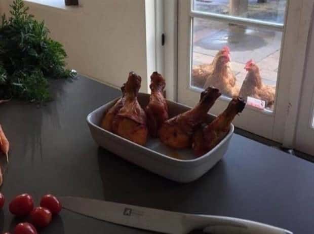Klyker Picdump #1977 (42 photos)